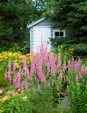 What is your garden shed worth?